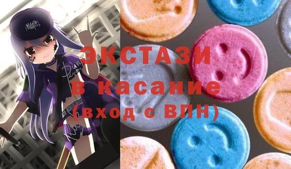 ECSTASY Богородицк